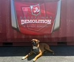 Not Every Demolition Job Needs a Demolition Contractor:
