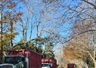 South Hampton, NY